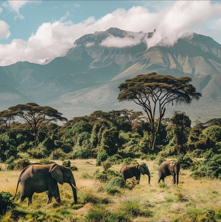 Luxury boat cruise in Queen Elizabeth National Park