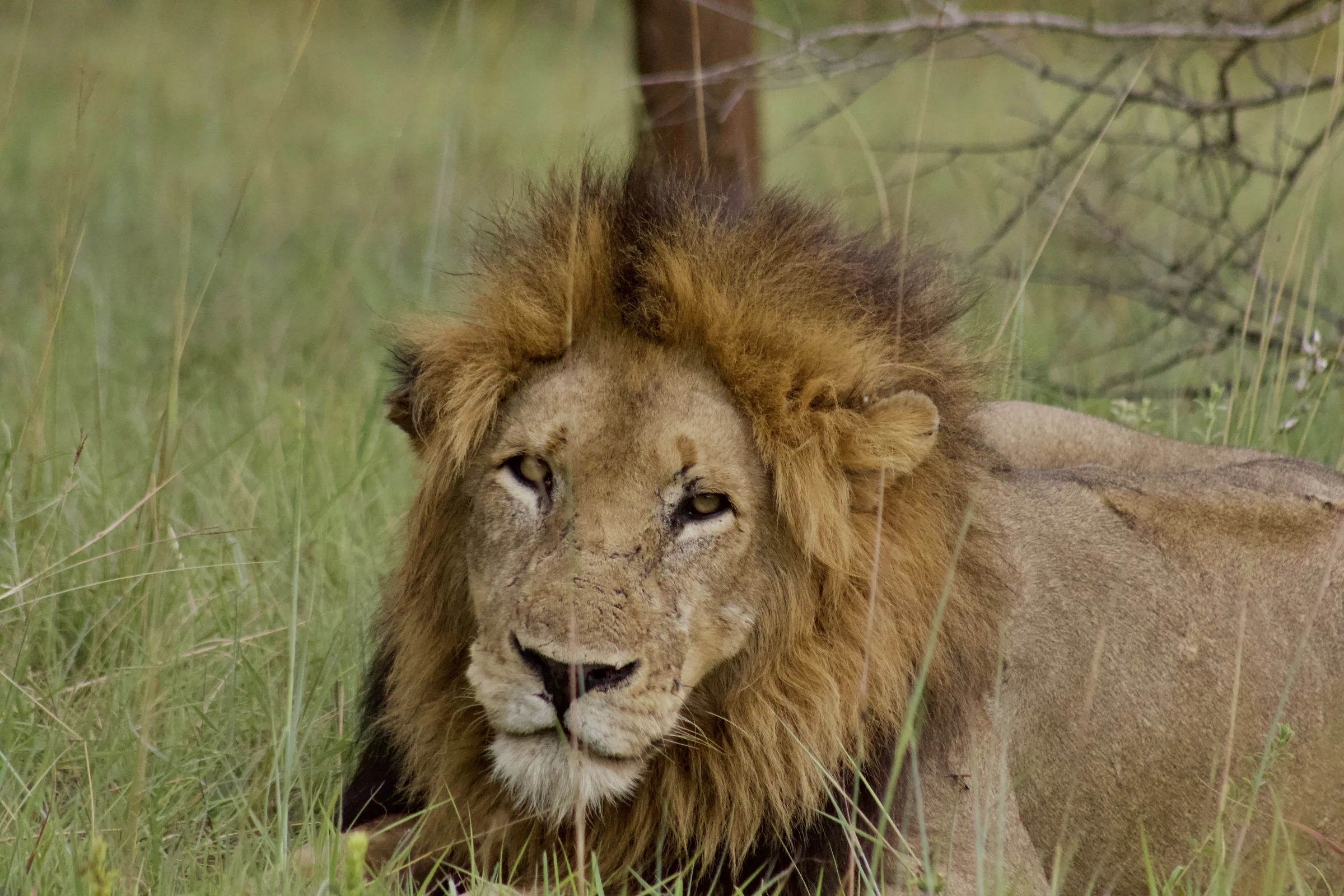 Lake Mburo National Park