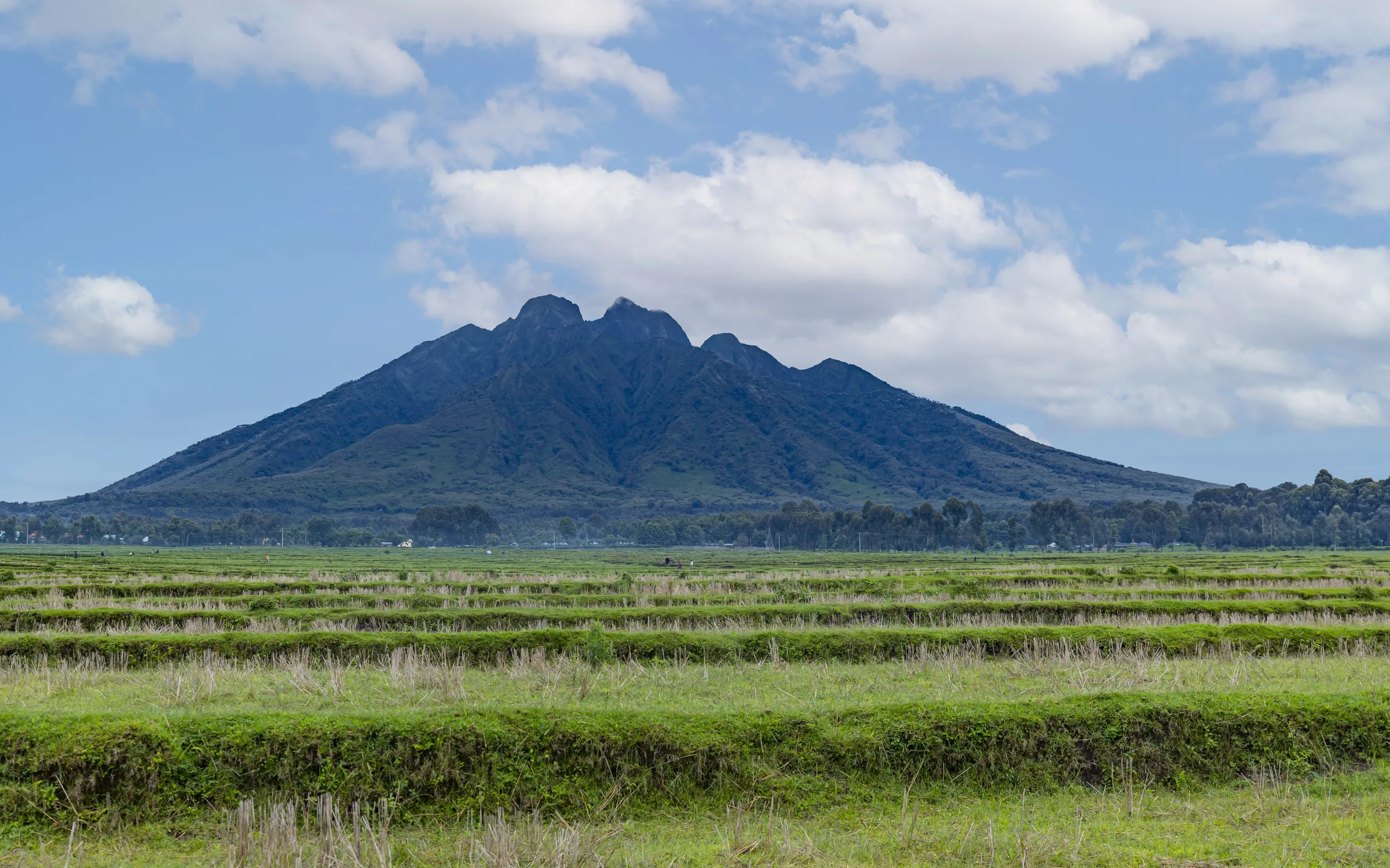 Mgahinga National Park