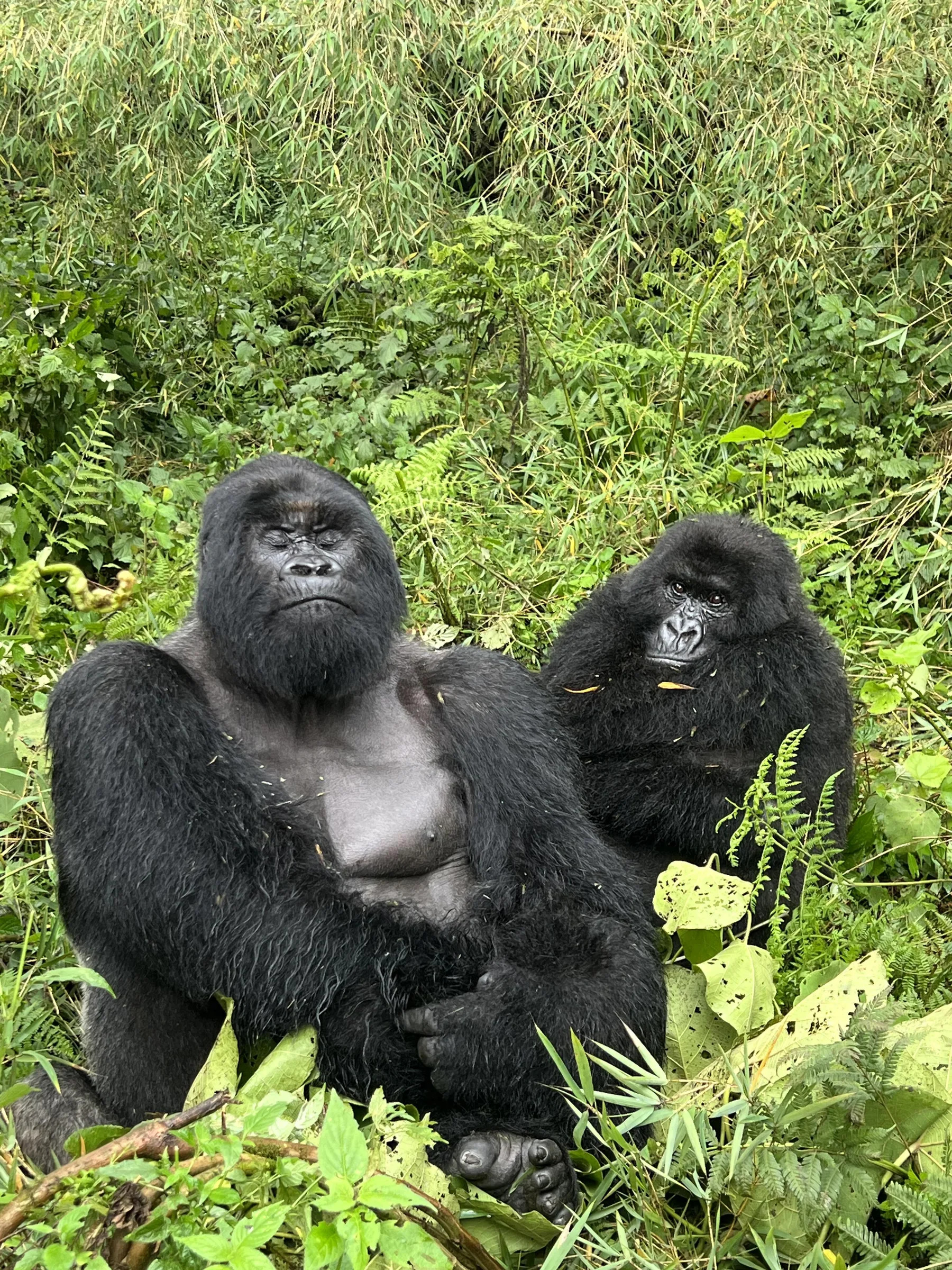 Uganda Landscape