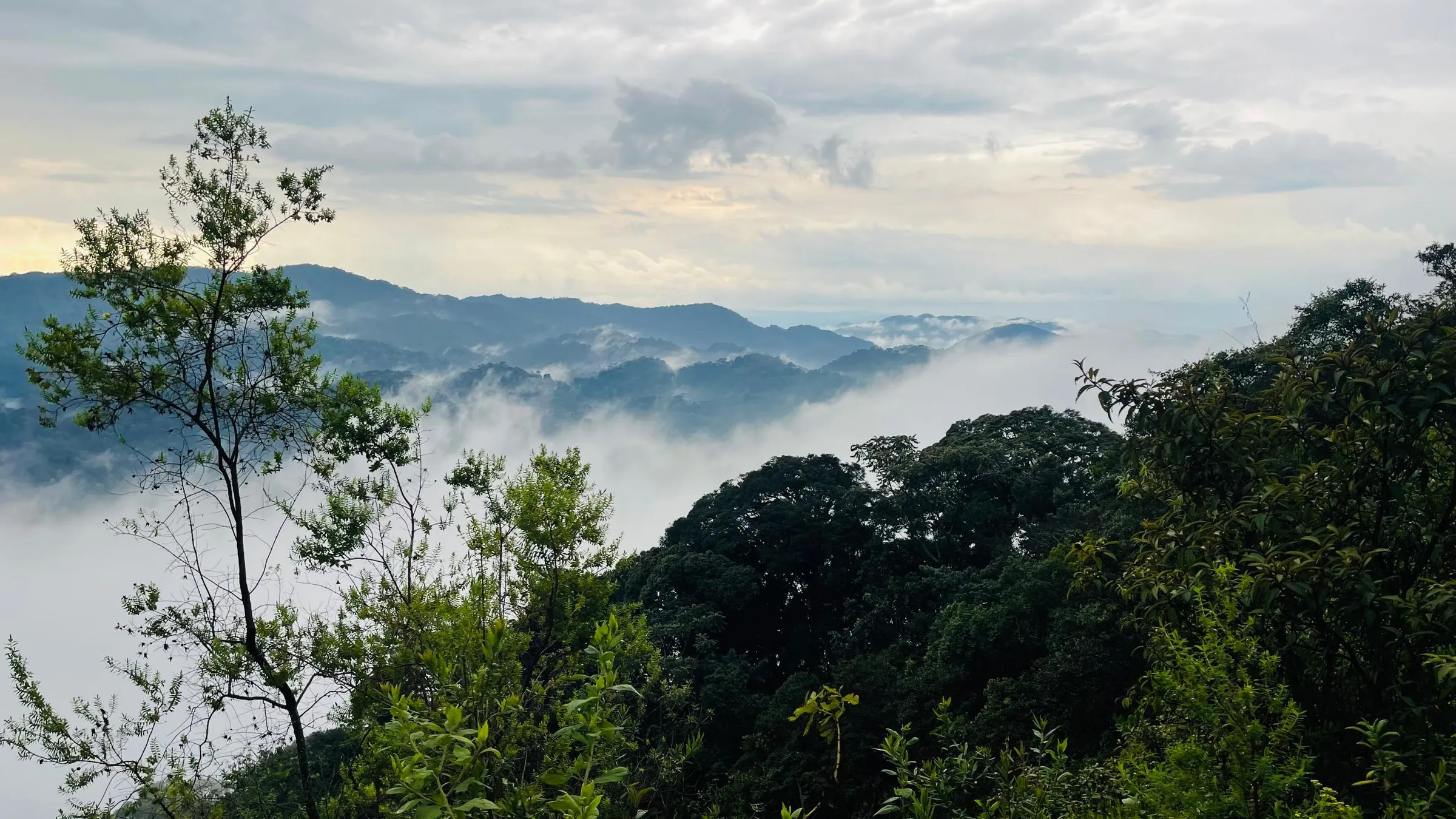 Nyungwe National Park