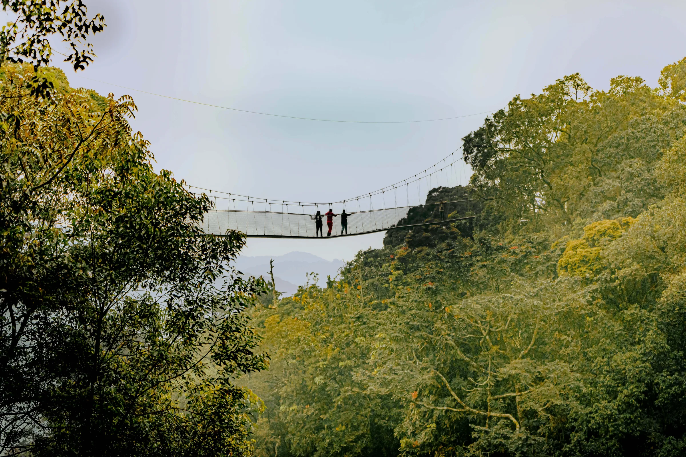 Nyungwe National Park